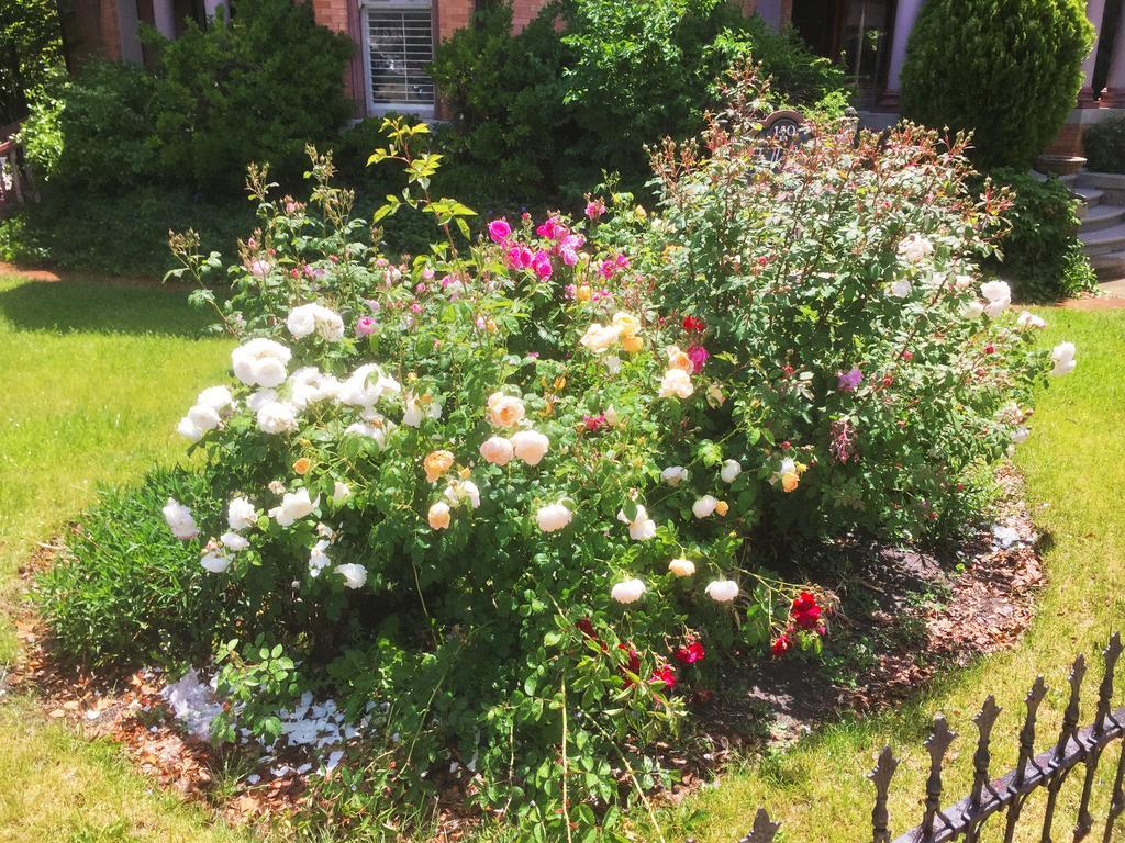Historic Ellerbeck Mansion Bed & Breakfast Salt Lake City Luaran gambar